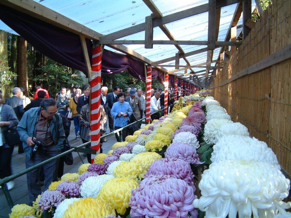 🌿 니가타 현립 식물원 (니가타 켄리츠 쇼쿠부츠엔) 이미지 7